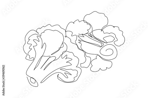 Continuous line drawing of whole healthy organic cauliflower broccoli for farm logo identity. One line art concept for fresh vegetable icon. Vector illustration