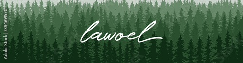 pine tree banner profile background vector illustration design