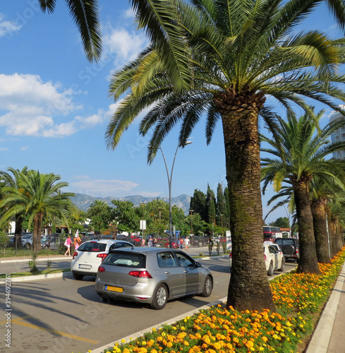 Row of palm trees along the street with yellow flowers. Against the backdrop of mountains and blue sky in Budva Montenegro