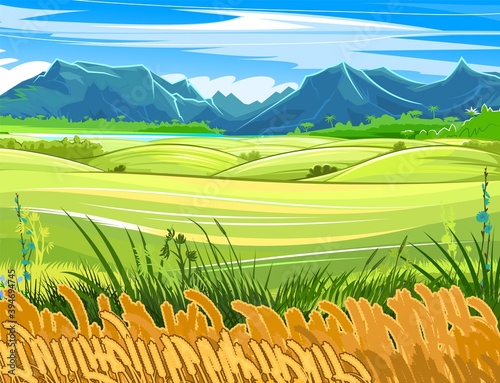 Wheat field. Rural hills and meadows. Scenery. Pasture grass for cows and a place for a vegetable garden and farm. Horizon. Great view of the mountains. Summer.