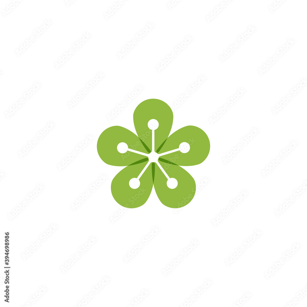 Beauty plumeria icon flowers design illustration Template Beauty plumeria icon flowers design illustration Template