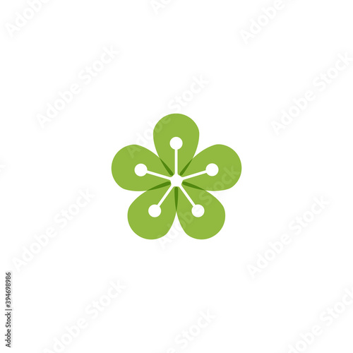 Beauty plumeria icon flowers design illustration Template