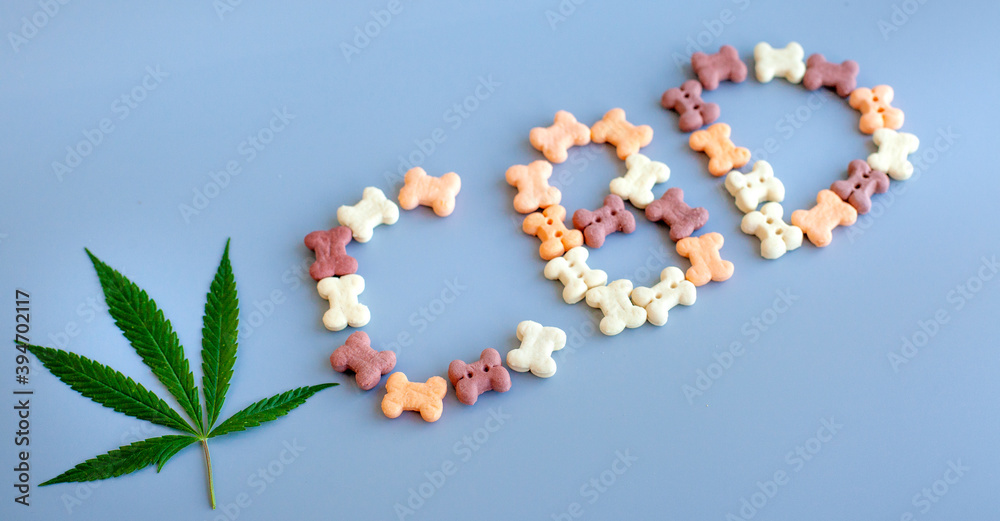 CBD lettering written from dog or cat food. CBD cannabis or hemp content in pet treats