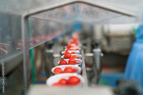 processing process of the cherry tomato, typical of southern Italy - Piennolo tomato