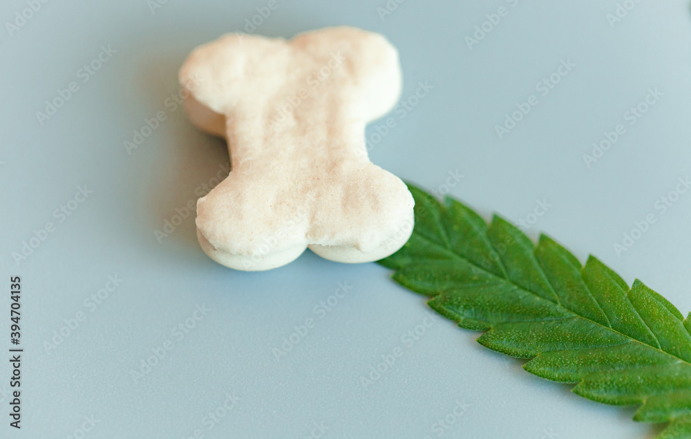 Fototapeta premium Pet food containing CBD cannabis close-up, blue background, the place for text. Pet food advertising concept