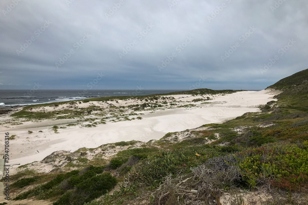 Obraz premium Scenic view of Platboom beach, Cape of Good Hope, South Africa.