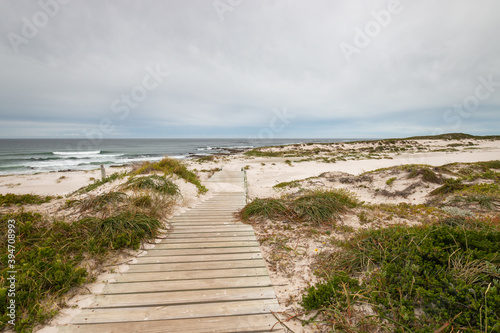 Scenic view of Platboom beach, Cape of Good Hope, South Africa.