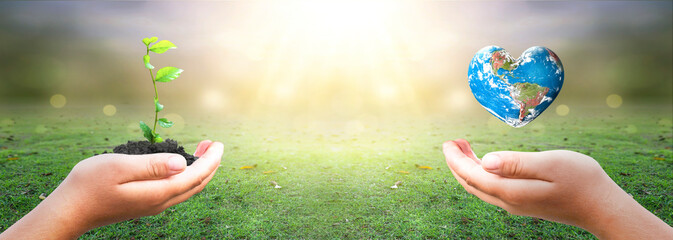 hands holding earth globe and tree over blurred nature background. Elements of this image furnished by NASA