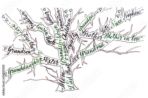 Family tree, hand drawn  calligraphy
