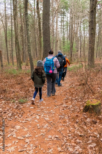A family hiking through a forest along a path taken from behind so no faces are shown.