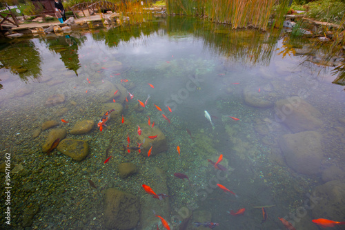 It is one of the largest urban parks in Istanbul, established in Beylikdüzü with a size of 1 million square meters. Japanese garden and many event areas available photo