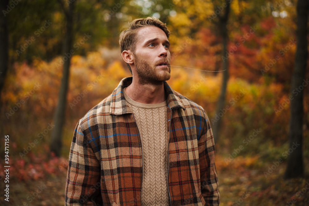 Handsome redhead unshaven man strolling in autumn forest