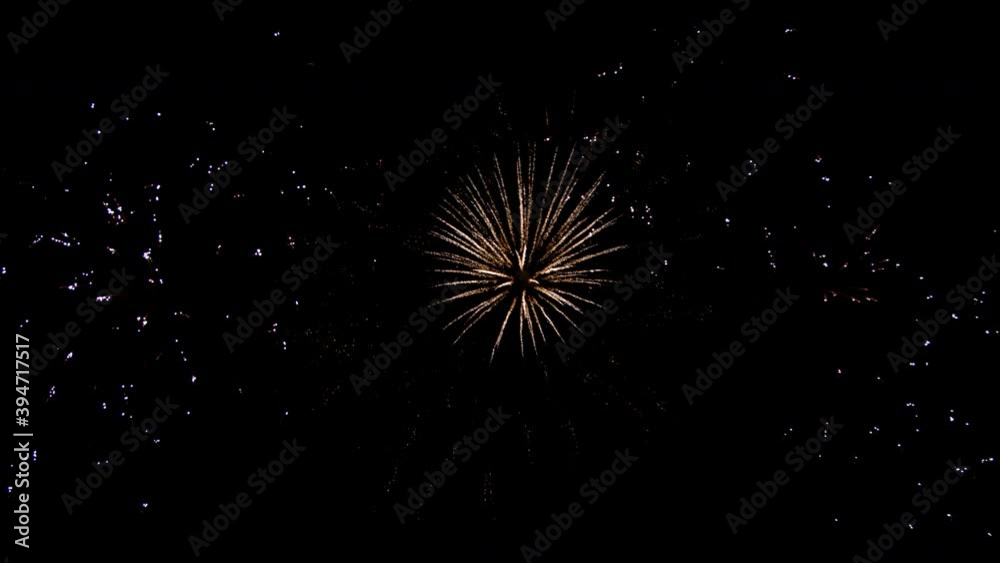 A great fireworks against black background in the night A great fireworks against black background in the night