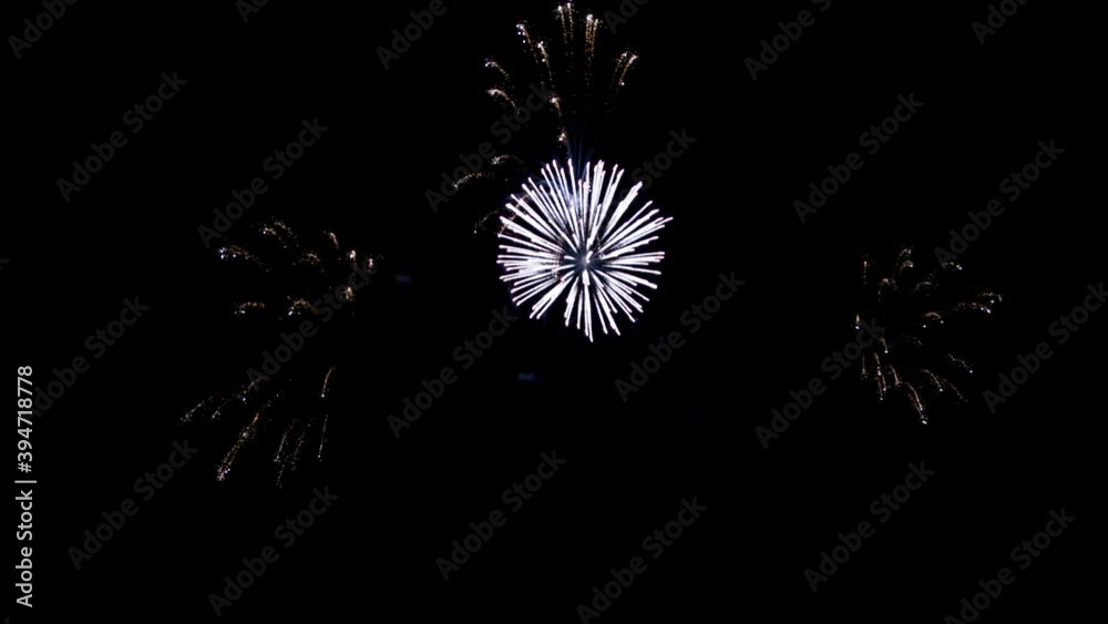 A great fireworks against black background in the night A great fireworks against black background in the night