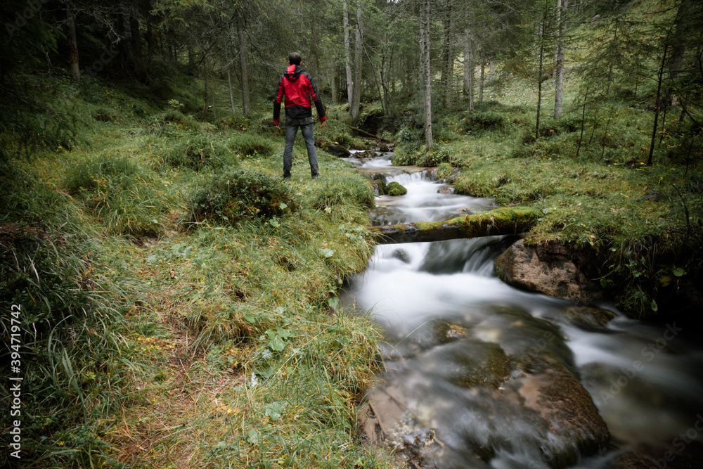 A trekker walking solo among the forest in a cloudy day A trekker walking solo among the forest in a cloudy day