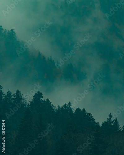 Switzerland sad morning fog