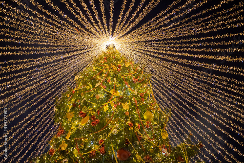 bottom view of a beautiful high Christmas tree decorated with balls and luminous garlands against a blue evening sky. place for copyspace  nice christmas backgound