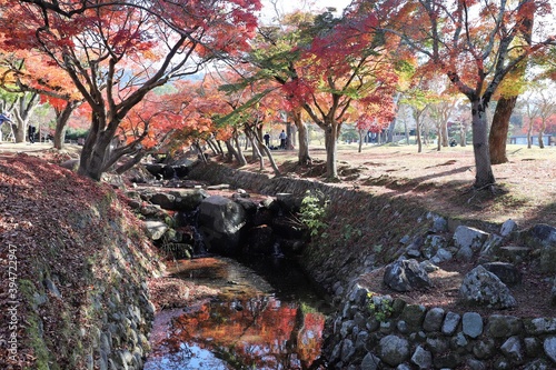 奈良公園の紅葉 © narautsu
