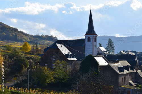 buntes Moseltal bei Bruttig-Fankel im Herbst photo