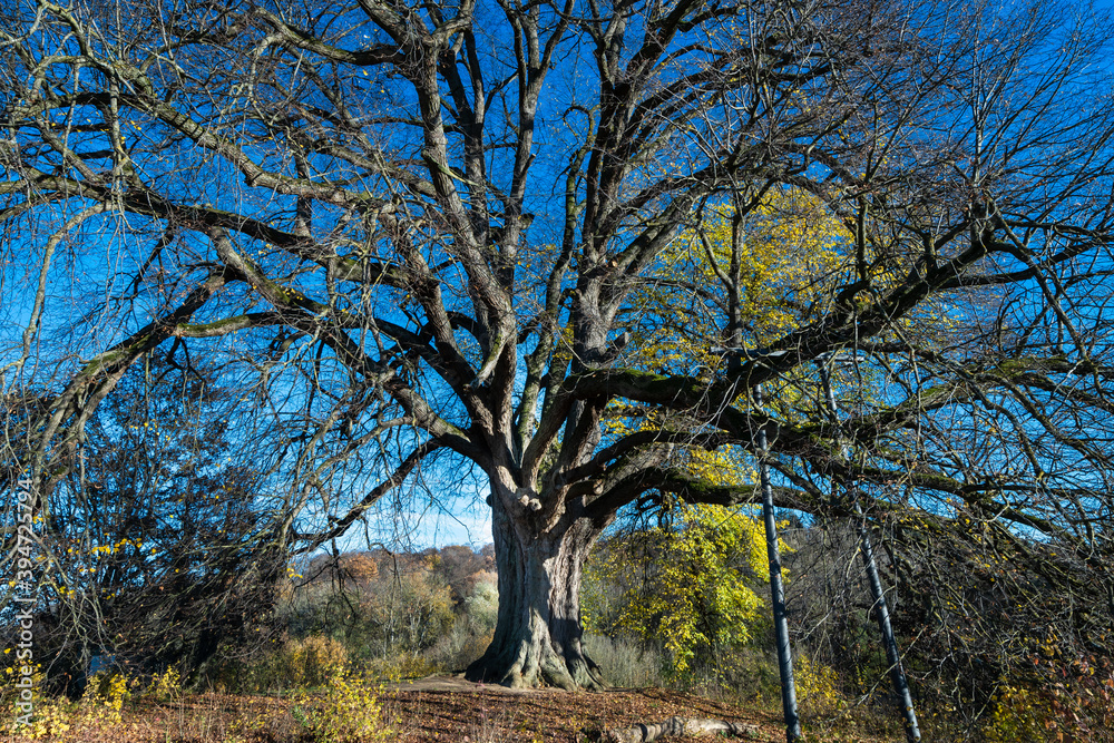 Annalinde bei heilbronn im Herbst Annalinde bei heilbronn im Herbst
