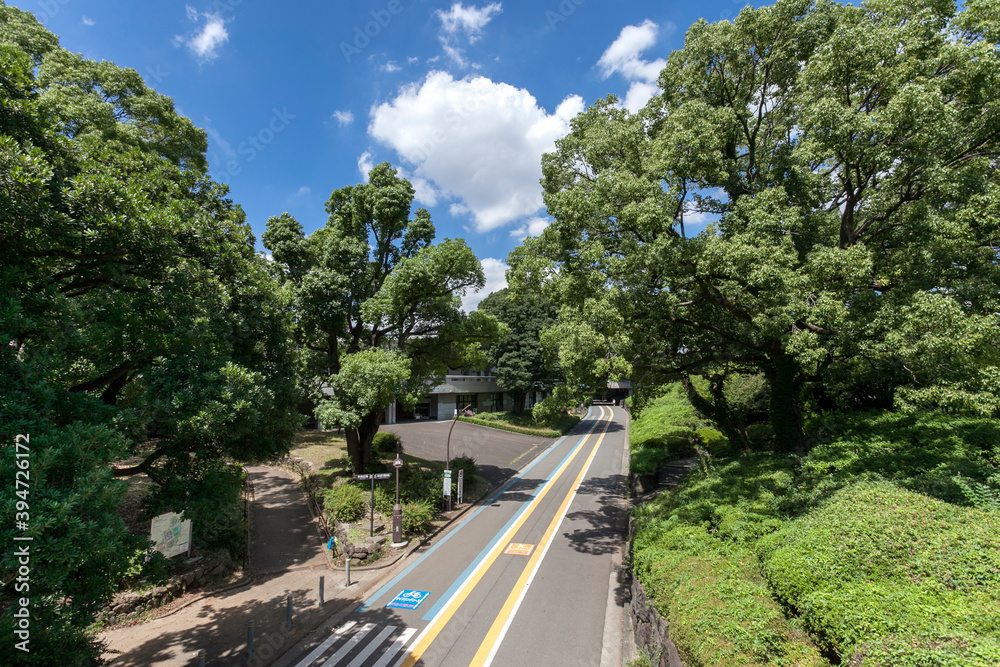 駒沢公園サイクリングロード（東京都世田谷区）