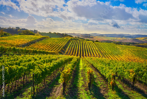 Vineyards panorama in Castellina in Chianti, Tuscany, Italy