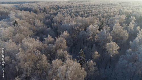 aerial view forest covered snow, frost. Frozen branches with hoarfrost in winter forest on sunny day winter landscape