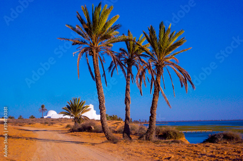 Cote sauvage de l'ile de Djerba dans le sud tunisien, palmier dattier couvrant une mosquée ibadite multicentenaire