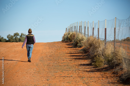 Person walking away along rabbit proof fence photo
