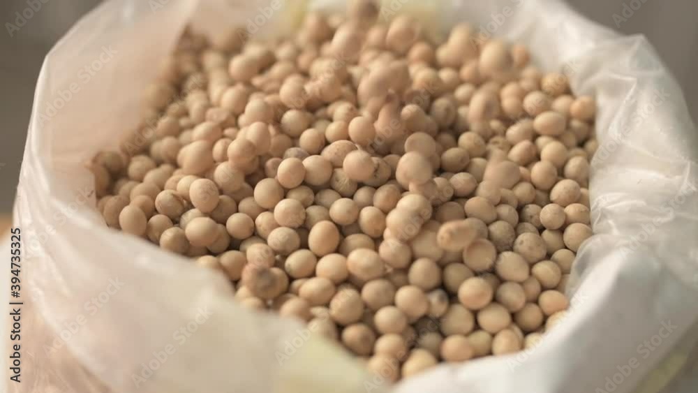 Harvested soybean falling in slow motion