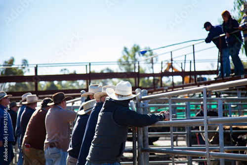 Farmers with hats leaning on cattle yard fence at sale yard photo