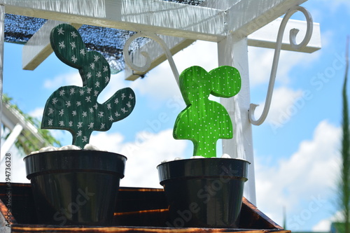 cool ornamental cactus from wood