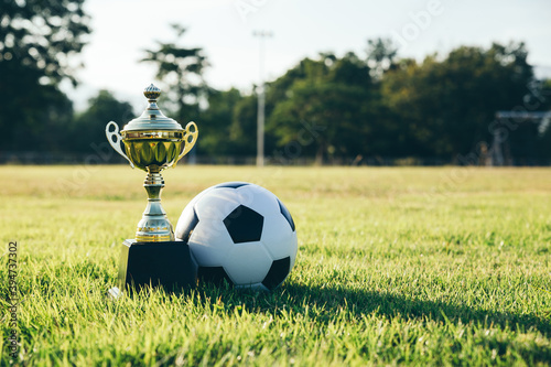 Soccer ball and trophy on grass field  sport concept.