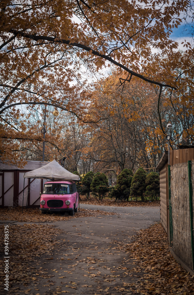 Vintage pink car in autumn surrounding