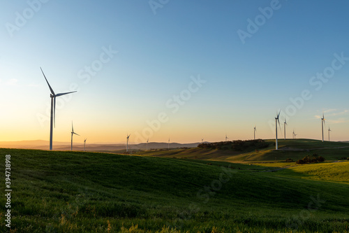 wind turbines in rolling farmland in late afternoon light