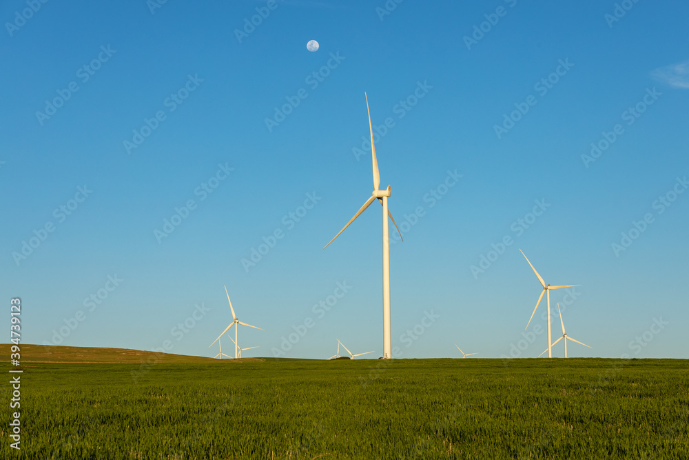 wind turbines in farmland against blue sky wind turbines in farmland against blue sky
