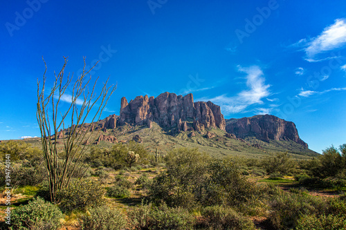 Mountain in the Lost Dutchman State Park with Ocotillo Cactus, Saguaro Cactus, Cholla Cactus, Palo Verde and Sage