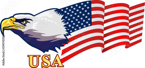 American eagle with USA flags