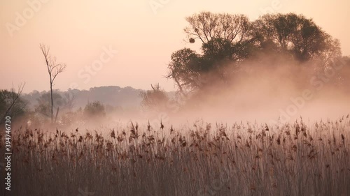 Stimmungsvoller Morgennebel über Flusslandschaft in Brandenburg