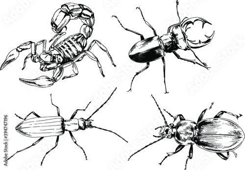 vector drawings sketches different insects bugs Scorpions spiders drawn in ink by hand , objects with no background