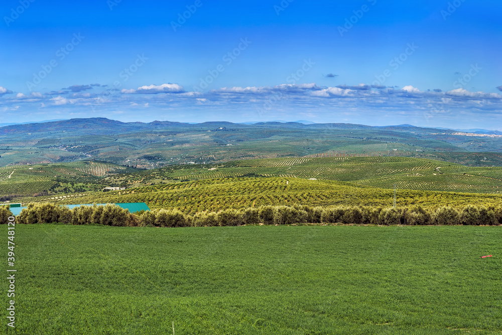 Landscape in province of Jaen, Spain