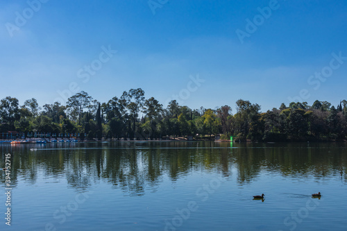 A beautiful view of a lake with ducks on a sunny day. A view of Bosque de Chapultepec, the biggest park in Mexico City and one of the biggest city parks in the world