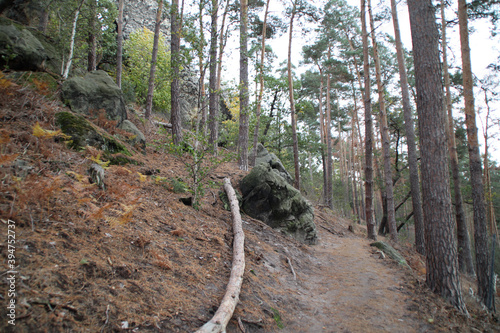 Ein Wanderweg auf der Teufelsmauer photo