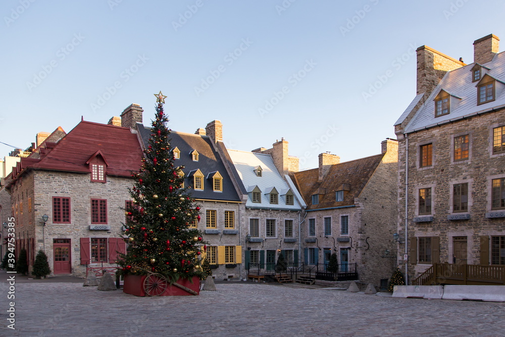 Fototapeta premium View of a tall Christmas tree and patrimonial buildings on the 17th Century Place Royale in the Petit-Champlain sector during a sunny early winter morning