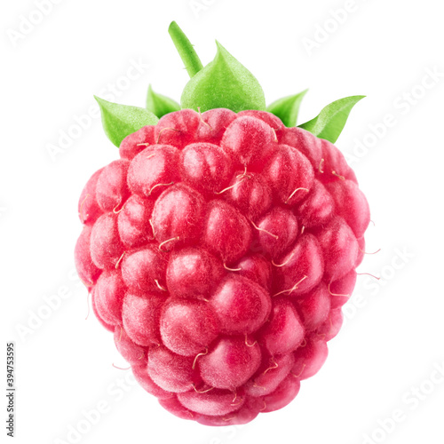 Red raspberry with a green crown of sepals on white background
