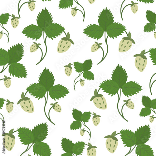 Seamless pattern with unripe strawberries with a stem and a green leaf on a white background. Green strawberry Bush in vector.