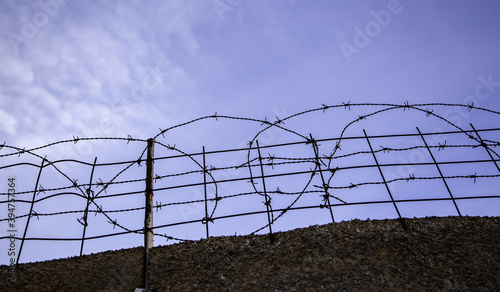 Barbed wire immigration