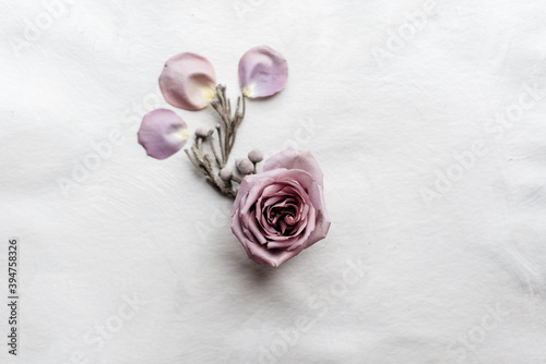 Abstract pink rose flatlay with petals on white background still life