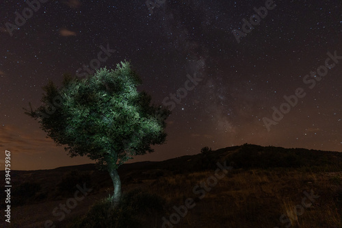 Canvas Print Night photography with a view of the stars, milky way and illuminated tree