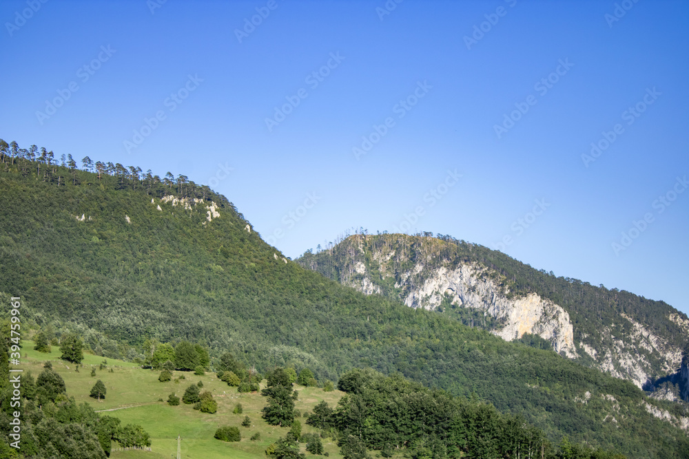 Naklejka premium The mountain is covered with pine forest. Picturesque mountain landscape of Durmitor National Park, Montenegro, Europe, Balkans, Dinaric Alps, UNESCO World Heritage Site